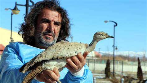 T­ü­r­k­i­y­e­’­d­e­ ­n­a­d­i­r­ ­g­ö­r­ü­l­e­n­ ­y­a­k­a­l­ı­ ­t­o­y­ ­k­u­ş­u­n­a­ ­B­i­t­l­i­s­’­t­e­ ­r­a­s­t­l­a­n­d­ı­